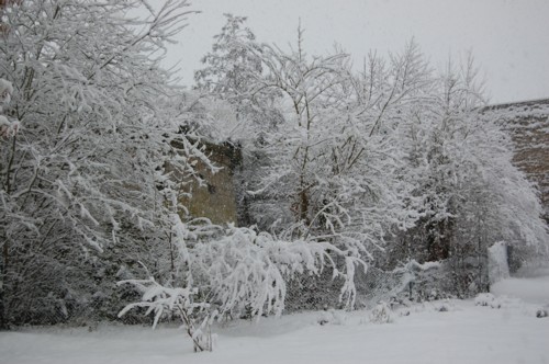 neige jardin 2