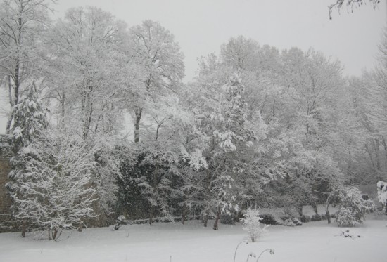neige jardin 3